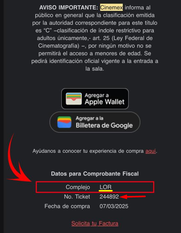 Ejemplo de ticket